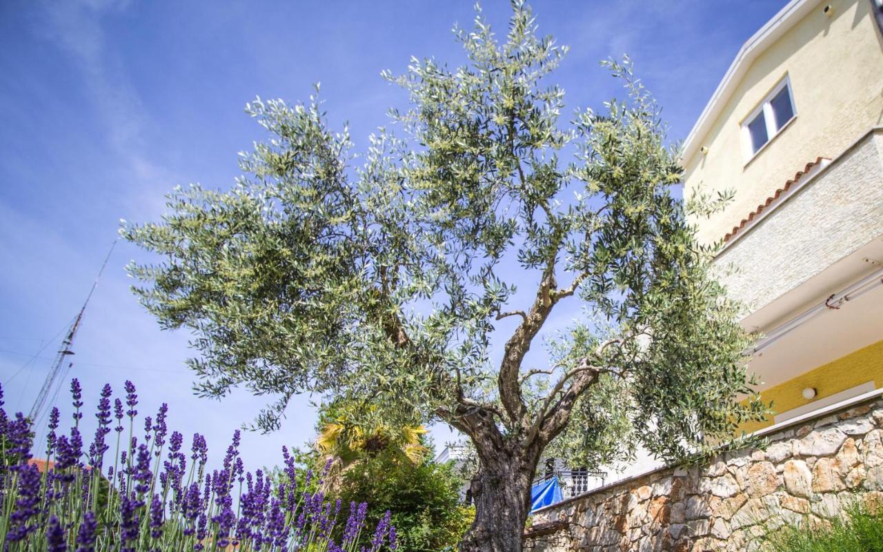 Apartments Balach Пореч Екстер'єр фото